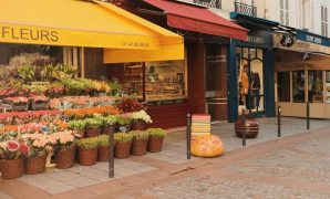 Canopy for Storefront